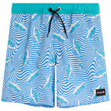Dizzy Shark Swim