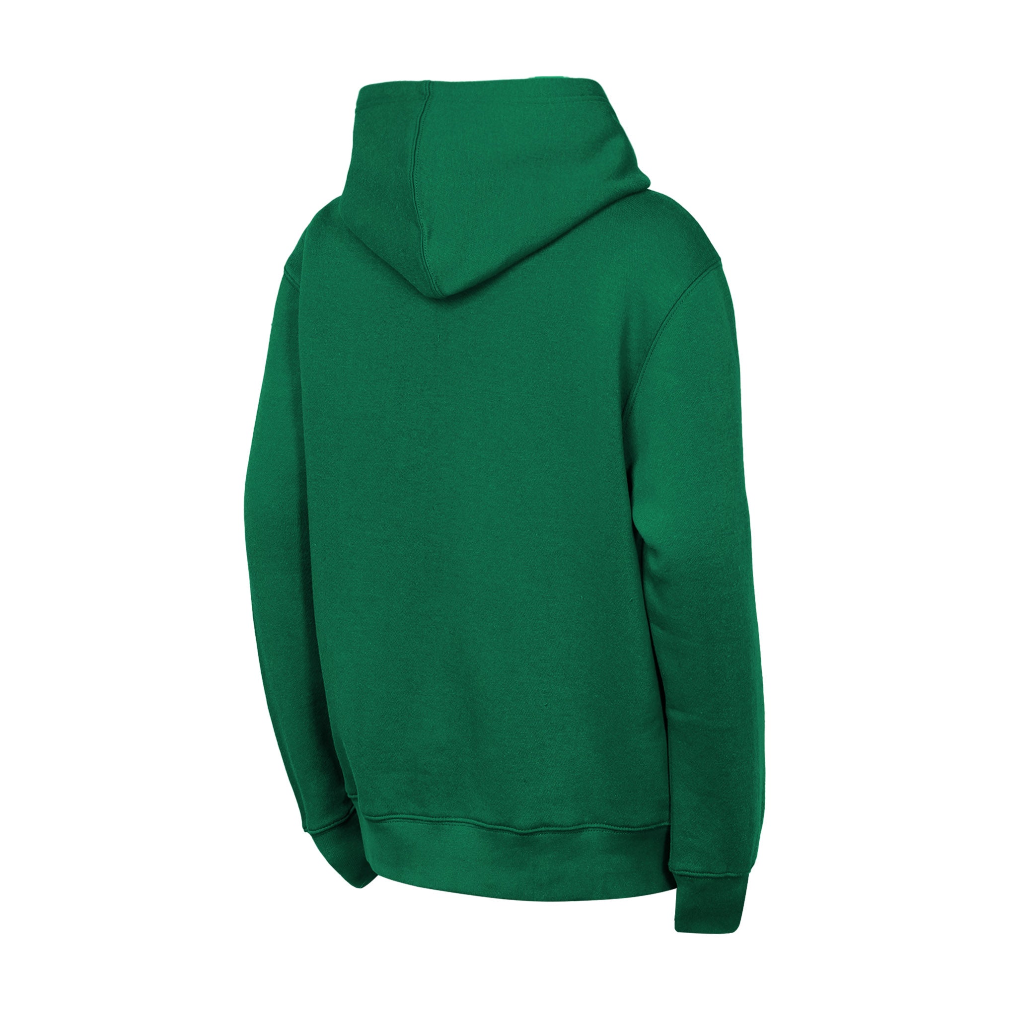 Celtics Back To Basics Hoodie - Denny's