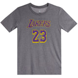 James Lakers Triblend Name & Number Tee - Denny's