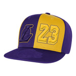Lebron Lakers Pandemonium Tonal Snap Back - Denny's