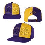 Lebron Lakers Pandemonium Tonal Snap Back - Denny's