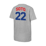 Soto Mets Triblend Tee - Denny's