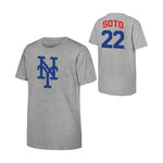 Soto Mets Triblend Tee - Denny's