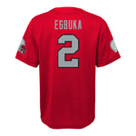 Ohio State NCAA Player Finished Jersey - Denny's