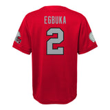 Ohio State NCAA Player Finished Jersey - Denny's