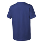 Giants Dri Fit Team Issue Tee - Denny's