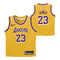James Lakers Replica Jersey - Denny's