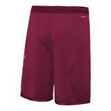 Cavaliers Icon Swingman Short - Denny's