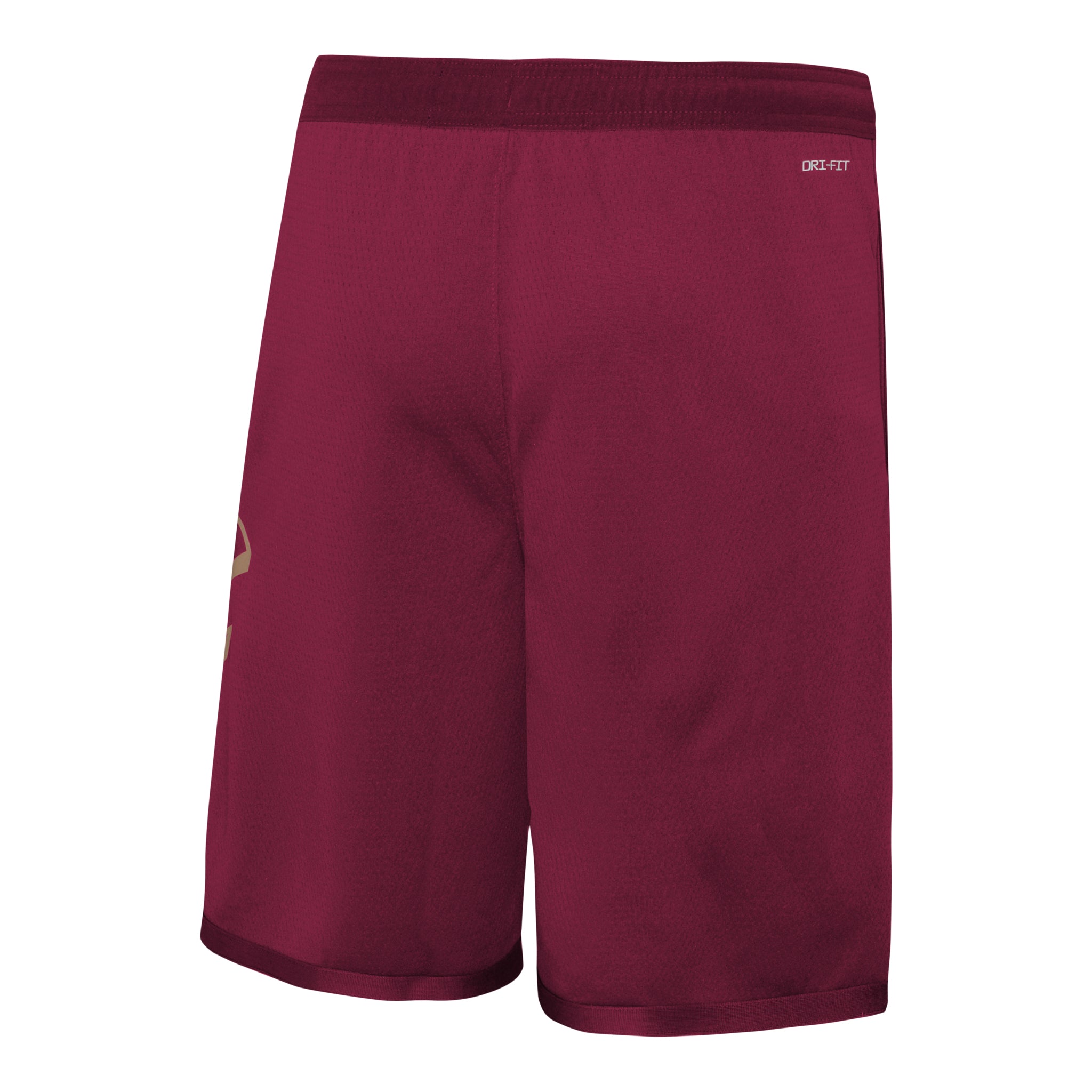 Cavaliers Icon Swingman Short - Denny's