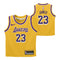 James Lakers Replica Jersey - Denny's
