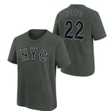 Soto Mets Name & Number Tee City Tee - Denny's
