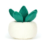 Amuseable Skull Planter - Denny's