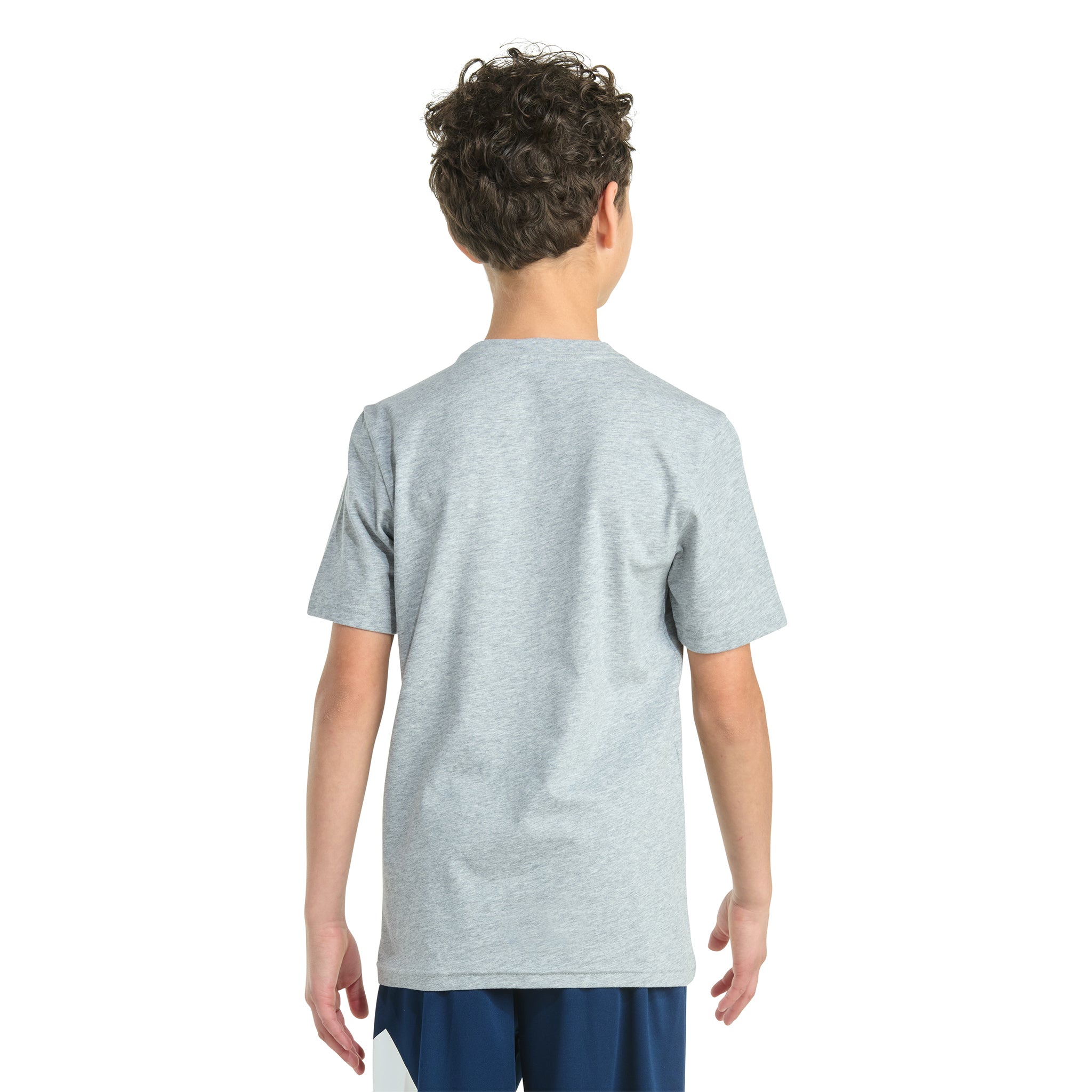Sport Bubble Lineage Heather Tee - Denny's