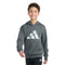 Graphic Fleece Hooded Pullover - Denny's