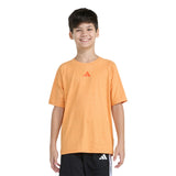 Melange Raglan Tee