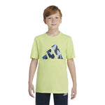 Camo Logo Tee - Denny's