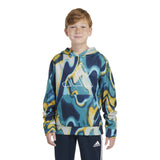 Printed Heatmap Hooded Pullover - Denny's
