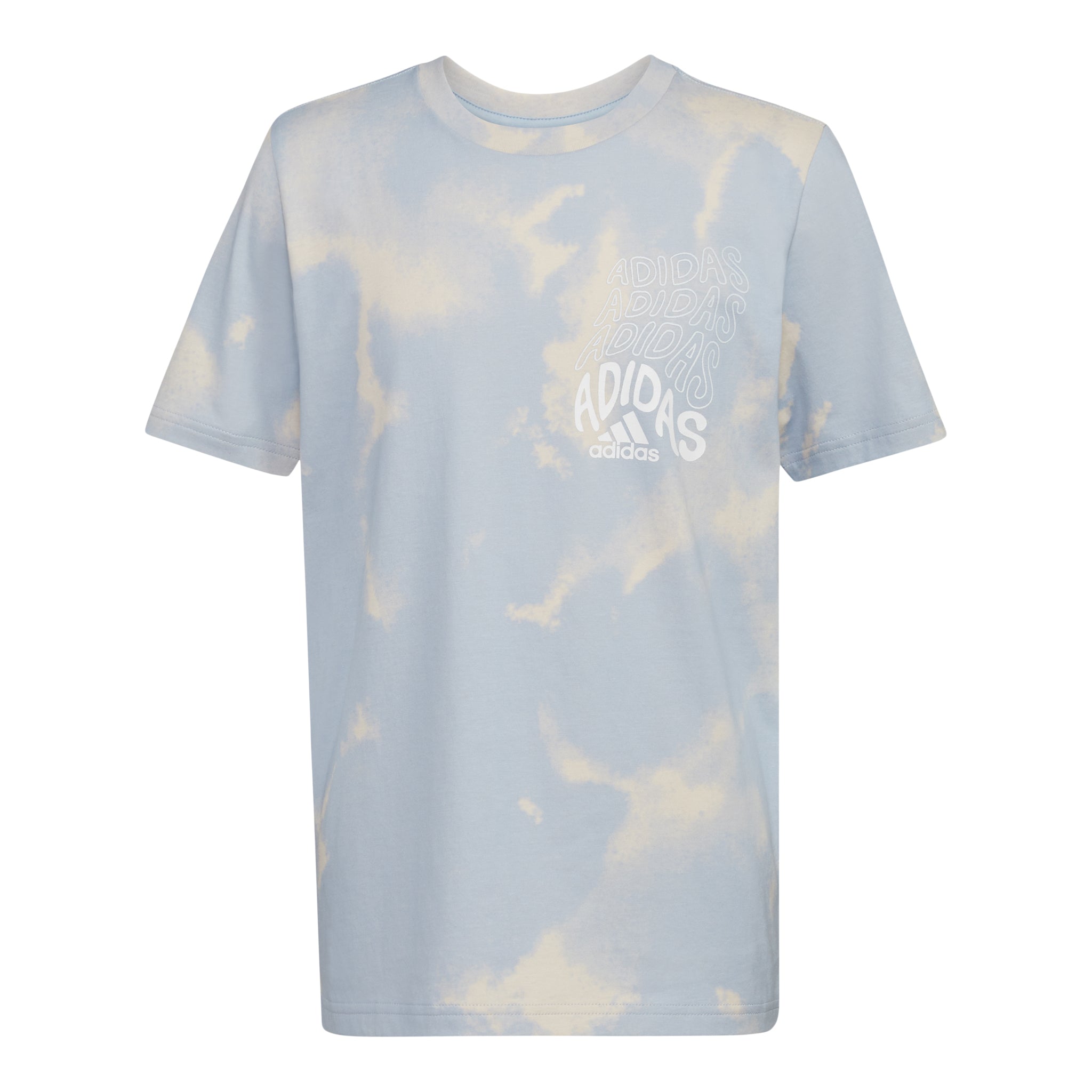 Printed Fluidity Wash Short Sleeve Tee - Denny's