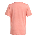 Camo Logo Poly Melange Tee - Denny's