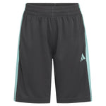 Essential 3 Stripe Short - Denny's