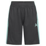Essential 3 Stripe Short - Denny's