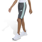 Essential 3 Stripe Short - Denny's