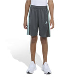 Essential 3 Stripe Short - Denny's