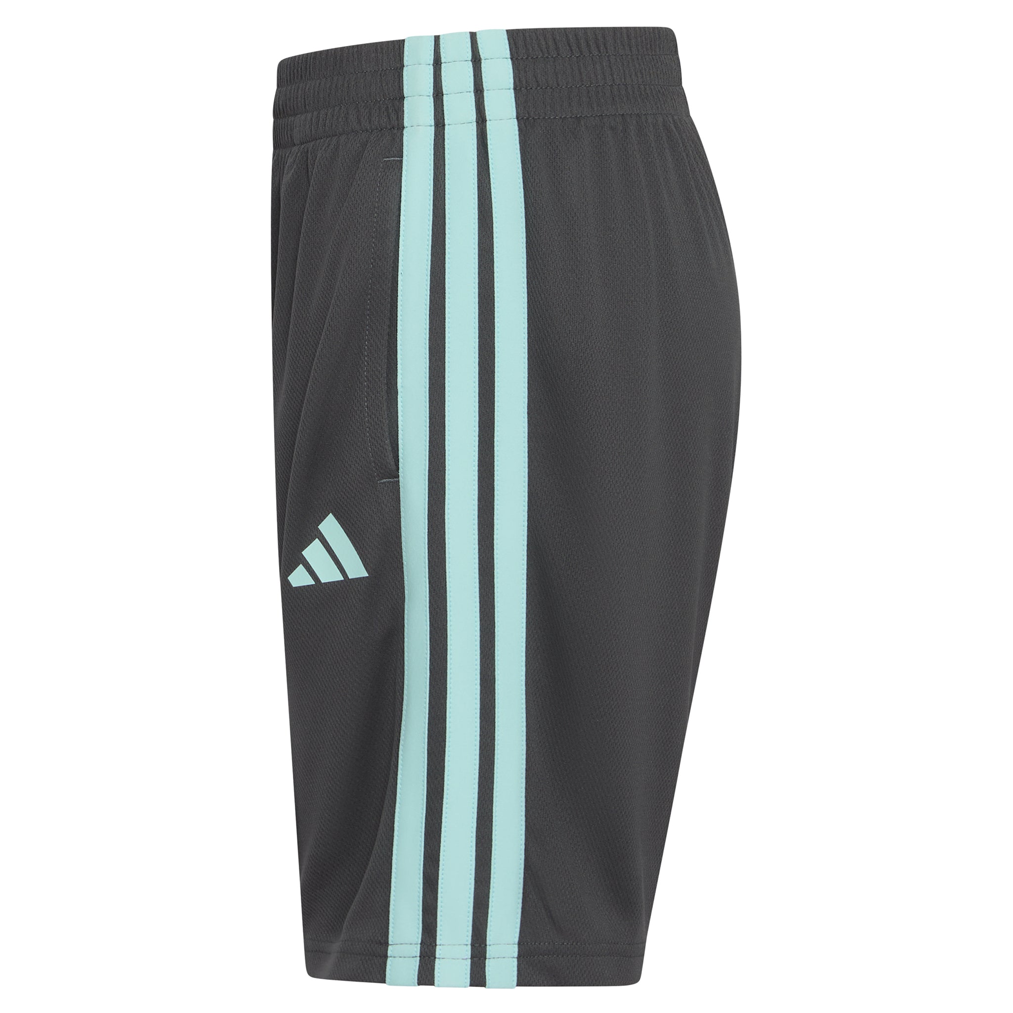 Essential 3 Stripe Short - Denny's
