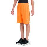 Essential Big Logo Short
