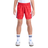 World Soccer Short
