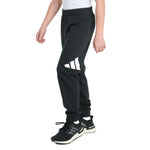 Essential Big Logo Fleece Jogger - Denny's