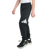 Essential Big Logo Fleece Jogger - Denny's