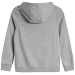 Michigan Club Fleece Hoodie - Denny's