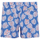 Malibu Blue Monstera Bayberry Swim
