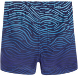 Ride The Wave Swim Trunk - Denny's