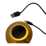 Love Neon Bulb LED Light - Denny's