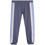 Ombre Stripe Jogger - Denny's