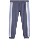 Ombre Stripe Jogger - Denny's