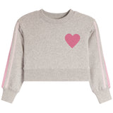 Sleeve Stripes Fleece Sweatshirt