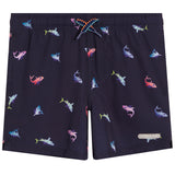 Shark Cove Swim With Boxer Liner