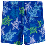 Sea Turtles Swim With Boxer Liner