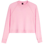 Cuddle Soft Sweatshirt - Denny's