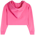 Half Zip Crop Hoodie - Denny's