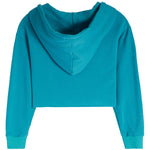 Half Zip Crop Hoodie - Denny's