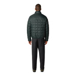 Stalis Puffy Coat - Denny's