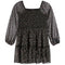 Long Sleeve Chiffon Dress - Denny's