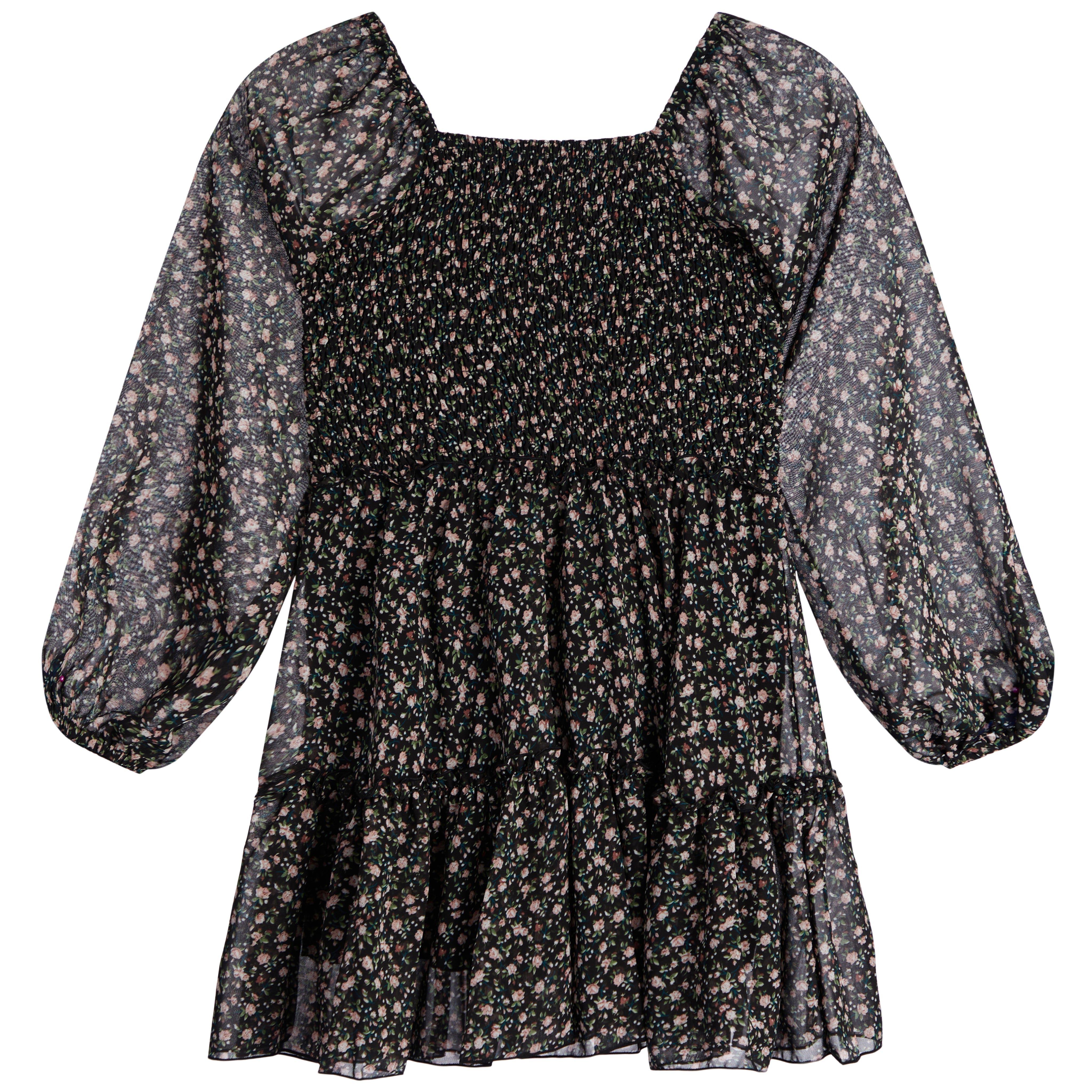 Long Sleeve Chiffon Dress - Denny's