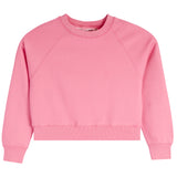 Bow Sleeve Sweatshirt - Denny's