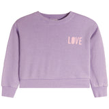 Love Crop Burnout Sweatshirt - Denny's