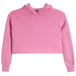 Crop Hoodie - Denny's